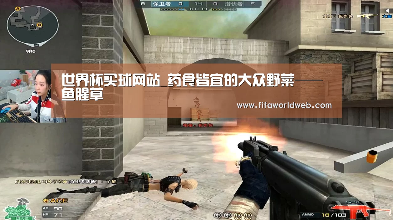 世界杯外围买球