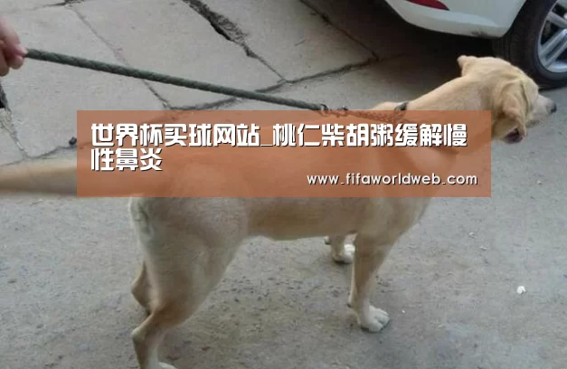 世界杯买球网站官网