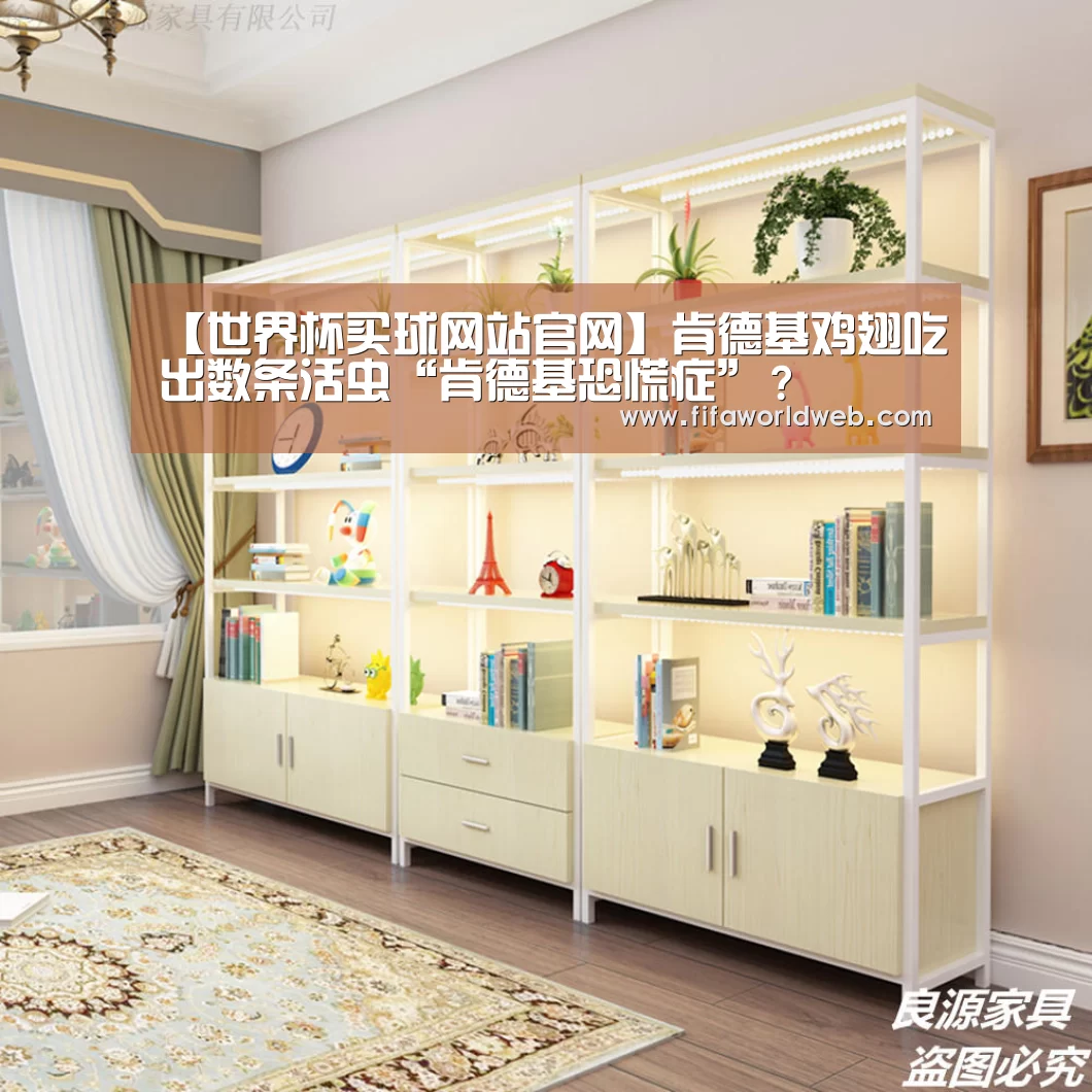 世界杯买球网站官网